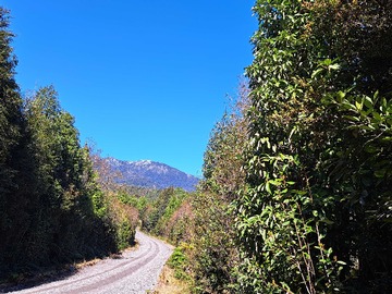 Venta / Terreno / Puerto Montt
