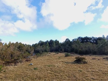 Venta / Terreno / Puerto Montt