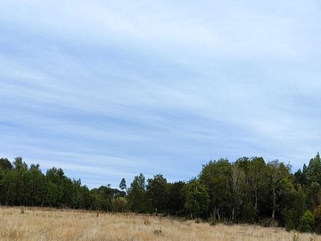 Venta / Terreno / Puerto Montt