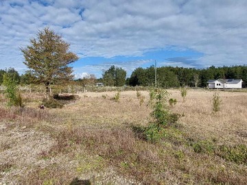 Venta / Terreno / Puerto Montt