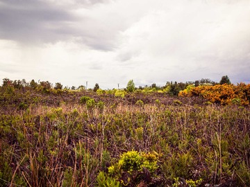 Venta / Terreno / Puerto Montt