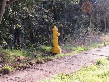 Imagen 13