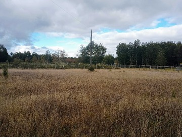 Venta / Terreno / Puerto Montt