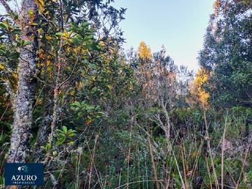 Venta / Terreno / Puerto Montt