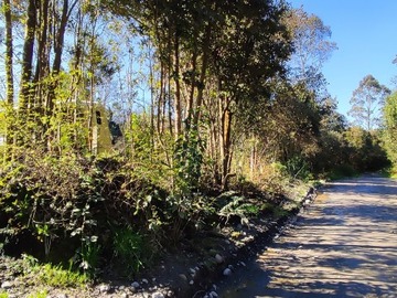 Venta / Terreno / Puerto Montt