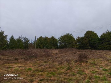 Venta / Terreno / Puerto Montt