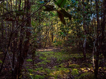 Venta / Terreno / Puerto Montt