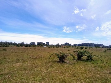 Venta / Terreno / Puerto Montt