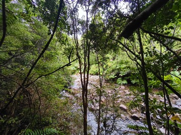 Venta / Terreno / Puerto Montt
