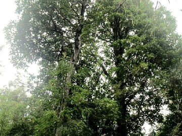 Venta / Terreno / Puerto Montt