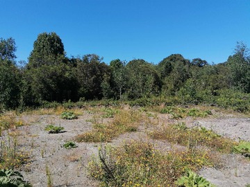Venta / Terreno / Puerto Montt