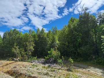 Venta / Terreno / Puerto Montt