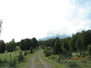 Venta / Terreno / Puerto Montt