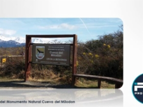 Imagen 7