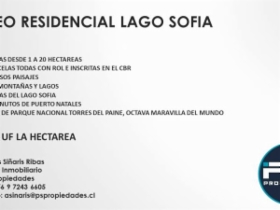 Imagen 10
