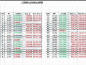 Imagen 11