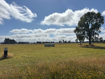 Venta / Terreno / Puerto Octay