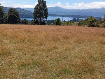 Venta / Terreno / Puerto Octay