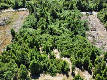 Venta / Terreno / Puerto Octay