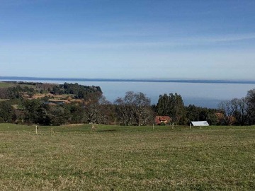 Venta / Terreno / Puerto Octay