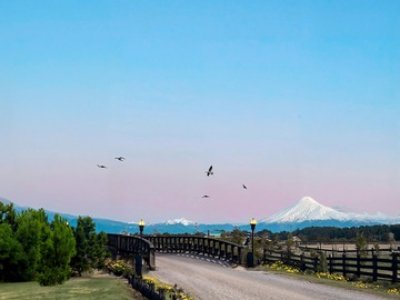 Venta / Terreno / Puerto Octay