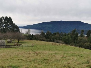 Venta / Terreno / Puerto Octay