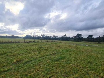 Venta / Terreno / Puerto Octay