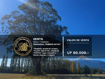 Venta / Terreno / Puerto Octay
