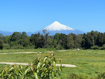 Venta / Terreno / Puerto Octay