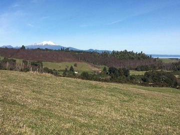 Venta / Terreno / Puerto Octay