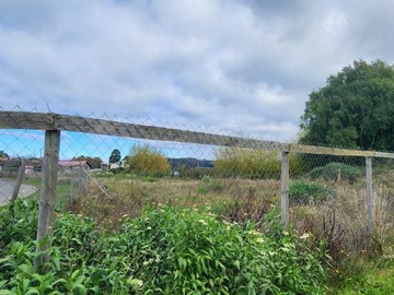 Venta / Terreno / Puerto Octay