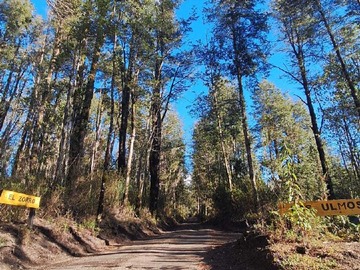 Venta / Terreno / Puerto Varas