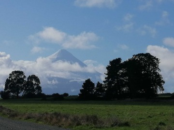 Venta / Terreno / Puerto Varas