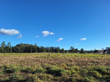 Venta / Terreno / Puerto Varas