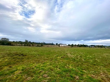 Venta / Terreno / Puerto Varas