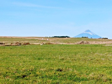 Venta / Terreno / Puerto Varas