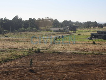 Imagen 9