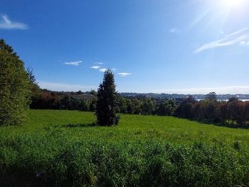 Venta / Terreno / Puerto Varas