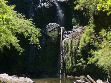 Venta / Terreno / Puerto Varas