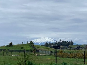 Venta / Terreno / Puerto Varas