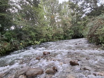 Imagen 16