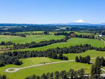 Venta / Terreno / Puerto Varas