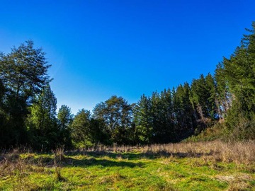 Venta / Terreno / Puerto Varas