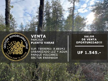 Venta / Terreno / Puerto Varas