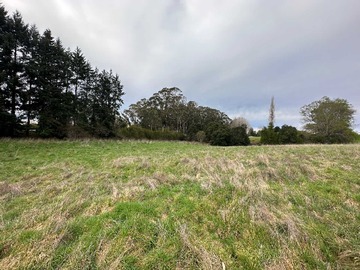 Venta / Terreno / Puerto Varas