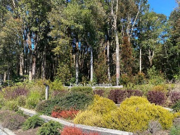 Venta / Terreno / Puerto Varas