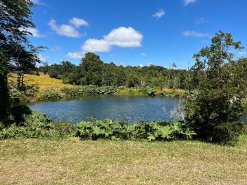 Venta / Terreno / Puerto Varas