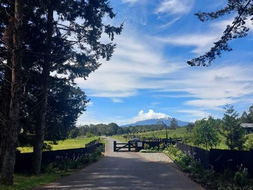 Venta / Terreno / Puerto Varas