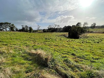 Venta / Terreno / Puerto Varas