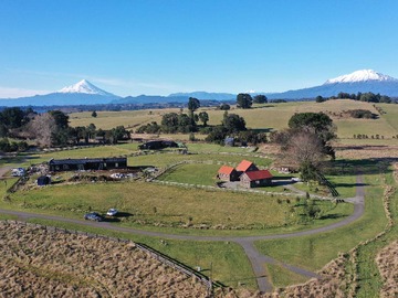 Venta / Terreno / Puerto Varas